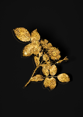 Gold Botanical on Black