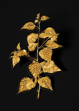 Gold Flora on Black