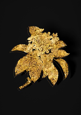 Gold Floral on Black