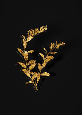 Gold Flora on Black