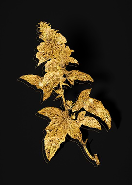 Gold Floral on Black