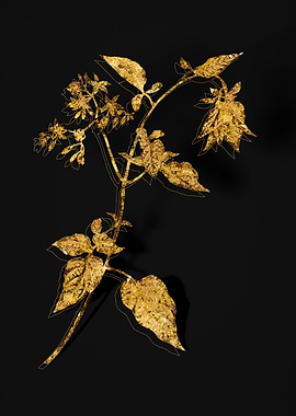 Gold Flora on Black
