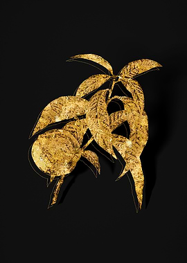 Gold Botanical on Black
