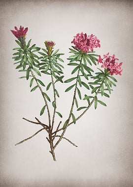 Vintage Garland Flowers