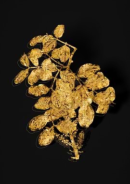 Gold Botanical on Black