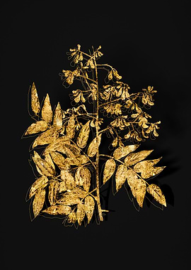Gold Flora on Black