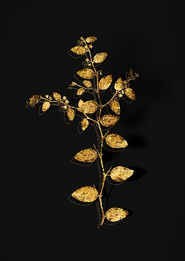 Gold Botanical on Black