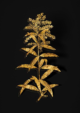Gold Flora on Black