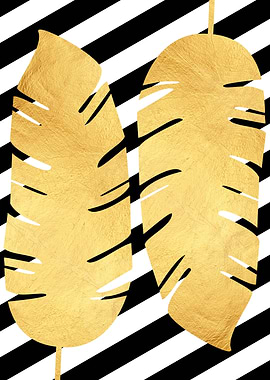 Tropical and golden XI