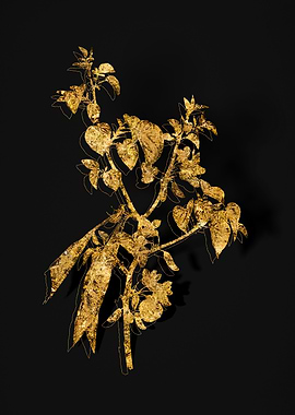 Gold Flora on Black