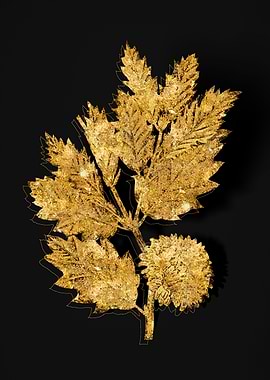 Gold Floral on Black