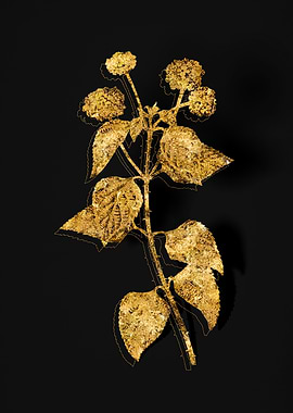 Gold Floral on Black