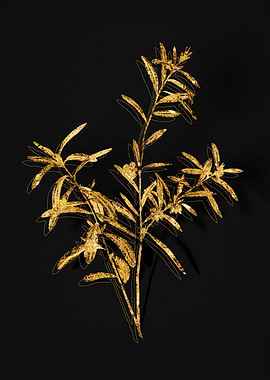 Gold Botanical on Black