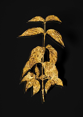 Gold Botanical on Black