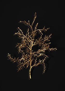 Gold Floral on Black