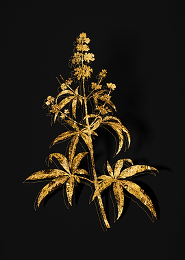 Gold Botanical on Black