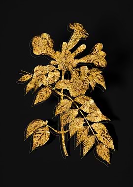 Gold Floral on Black