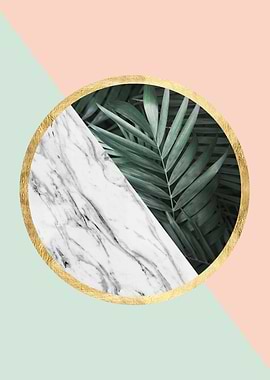 Natural polygon VIII