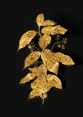 Gold Botanical on Black