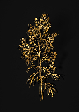 Gold Botanical on Black
