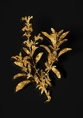 Gold Flora on Black