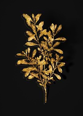 Gold Botanical on Black