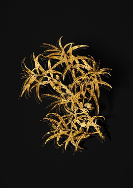 Gold Botanical on Black