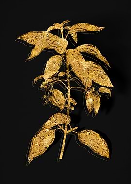 Gold Botanical on Black