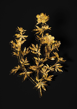 Gold Botanical on Noir