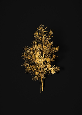 Gold Botanical on Black