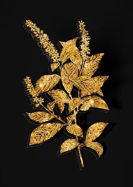 Gold Floral on Black