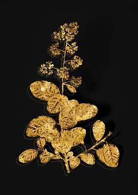 Gold Flora on Black