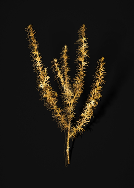 Gold Floral on Black