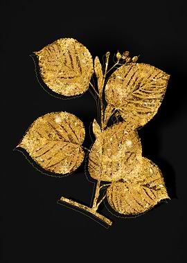 Gold Botanical on Black