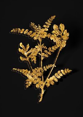 Gold Botanical on Black