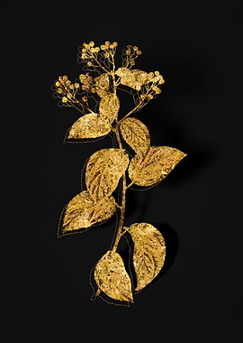 Gold Botanical on Black