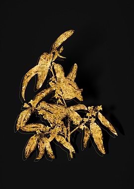 Gold Floral on Black