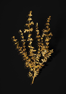 Gold Botanical on Black