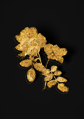 Gold Floral on Black