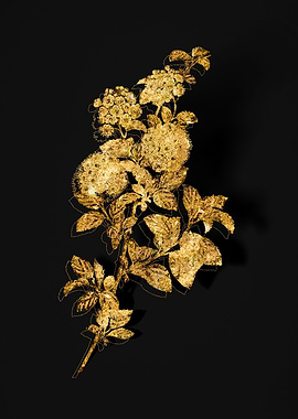 Gold Flora on Black