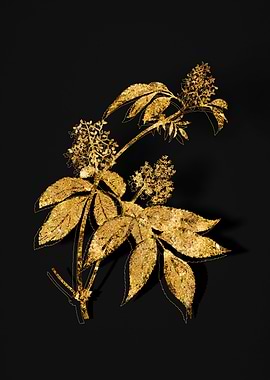 Gold Botanical on Black