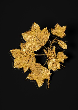 Gold Floral on Black