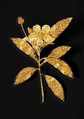 Gold Botanical on Black