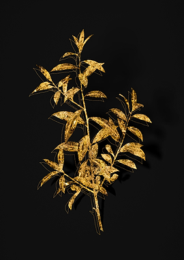 Gold Flora on Black
