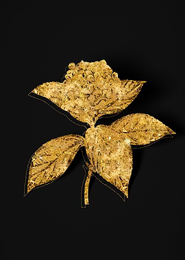 Gold Flora on Black