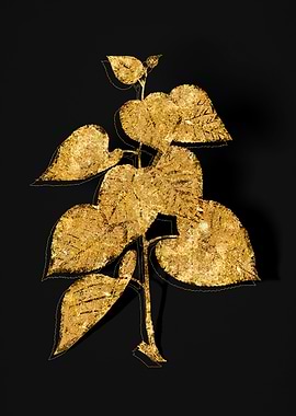 Gold Botanical on Black