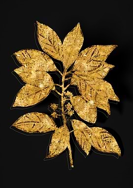 Gold Botanical on Black