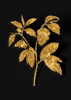 Gold Botanical on Black