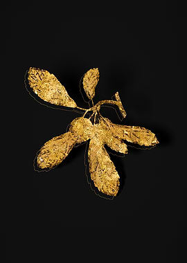 Gold Botanical on Black