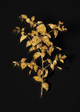 Gold Floral on Black